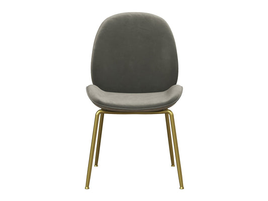 Kėdė CosmoLiving Astor Upholsteraudona Dining Kėdė, Šviesi pilka Velvetas with Žalvaris Metalas Leg C008414 (Pilka + Žalvaris)